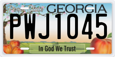 GA license plate PWJ1045