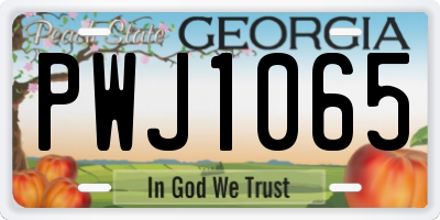 GA license plate PWJ1065