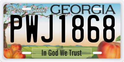 GA license plate PWJ1868