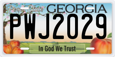GA license plate PWJ2029