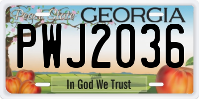GA license plate PWJ2036