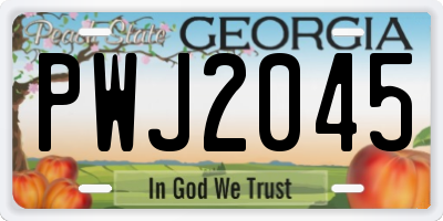 GA license plate PWJ2045