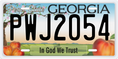 GA license plate PWJ2054