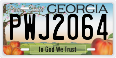GA license plate PWJ2064