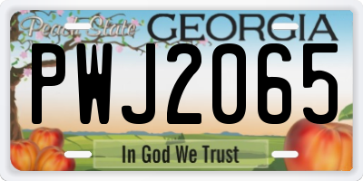 GA license plate PWJ2065