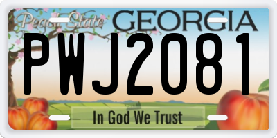 GA license plate PWJ2081