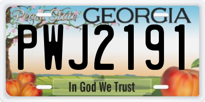 GA license plate PWJ2191