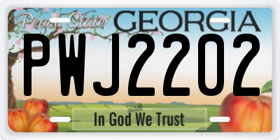 GA license plate PWJ2202