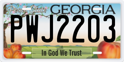GA license plate PWJ2203