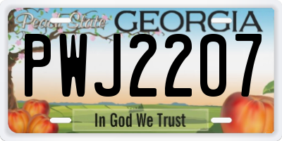 GA license plate PWJ2207