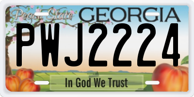 GA license plate PWJ2224