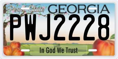GA license plate PWJ2228