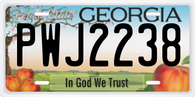 GA license plate PWJ2238