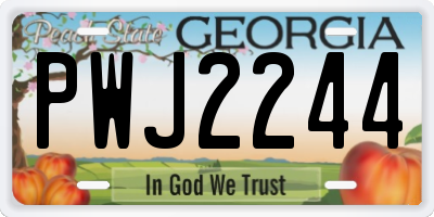 GA license plate PWJ2244