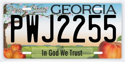 GA license plate PWJ2255