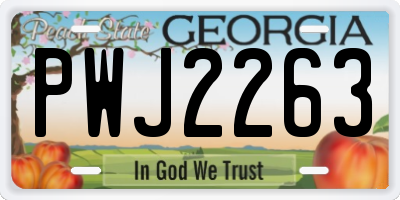 GA license plate PWJ2263