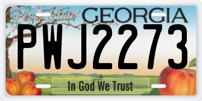 GA license plate PWJ2273