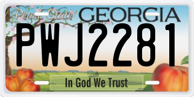 GA license plate PWJ2281