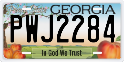 GA license plate PWJ2284