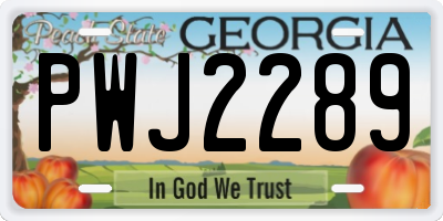 GA license plate PWJ2289