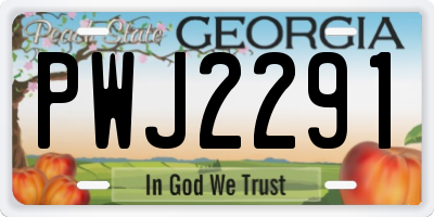 GA license plate PWJ2291