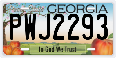 GA license plate PWJ2293