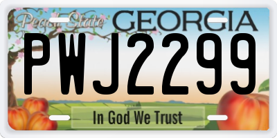 GA license plate PWJ2299
