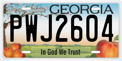 GA license plate PWJ2604