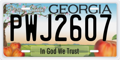 GA license plate PWJ2607
