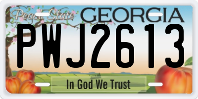 GA license plate PWJ2613