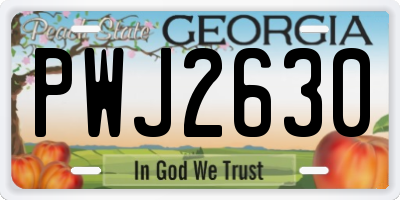 GA license plate PWJ2630