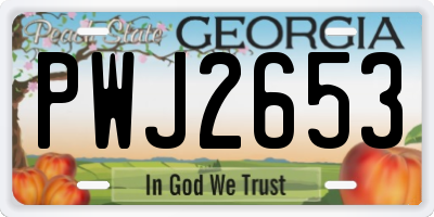 GA license plate PWJ2653