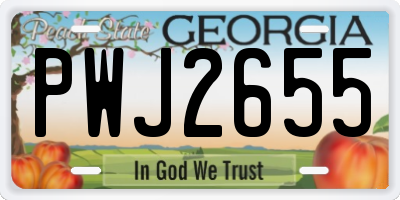 GA license plate PWJ2655