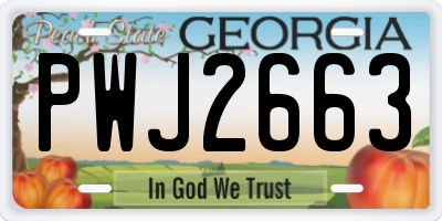 GA license plate PWJ2663
