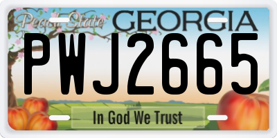 GA license plate PWJ2665