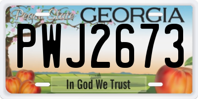 GA license plate PWJ2673