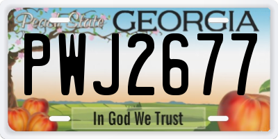 GA license plate PWJ2677
