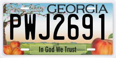 GA license plate PWJ2691