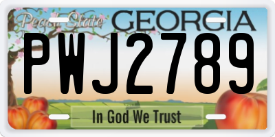 GA license plate PWJ2789