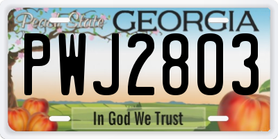 GA license plate PWJ2803