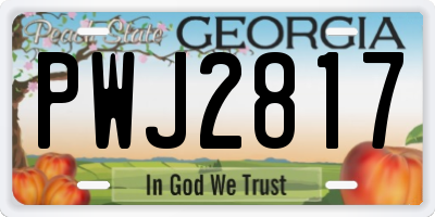 GA license plate PWJ2817
