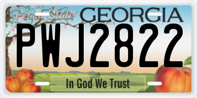 GA license plate PWJ2822