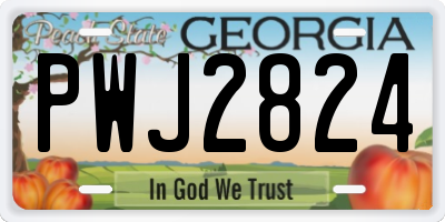GA license plate PWJ2824
