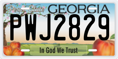 GA license plate PWJ2829