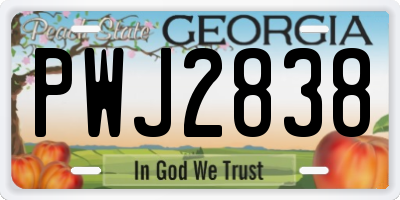 GA license plate PWJ2838