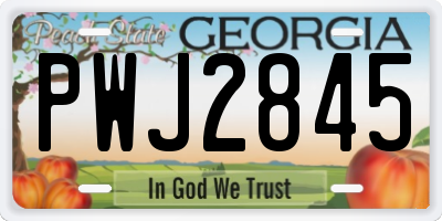 GA license plate PWJ2845