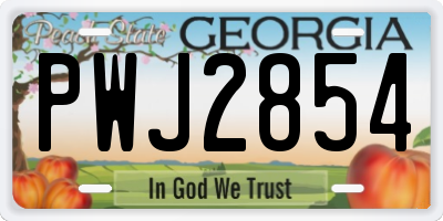 GA license plate PWJ2854