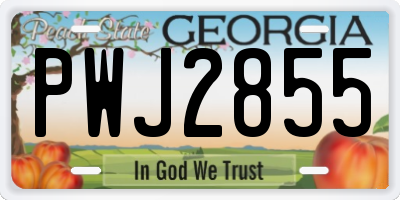 GA license plate PWJ2855