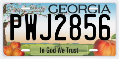 GA license plate PWJ2856