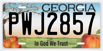 GA license plate PWJ2857